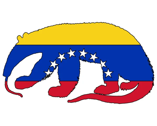 Anteater Venezuela — Stockvector