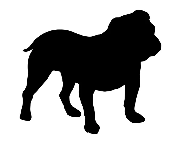 La silhouette noire d'un Bulldogge anglais — Image vectorielle