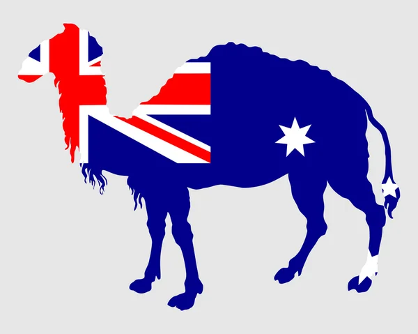 Drapeau de l'Australie avec chameau — Image vectorielle