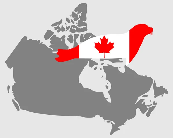 Sello canadiense — Vector de stock