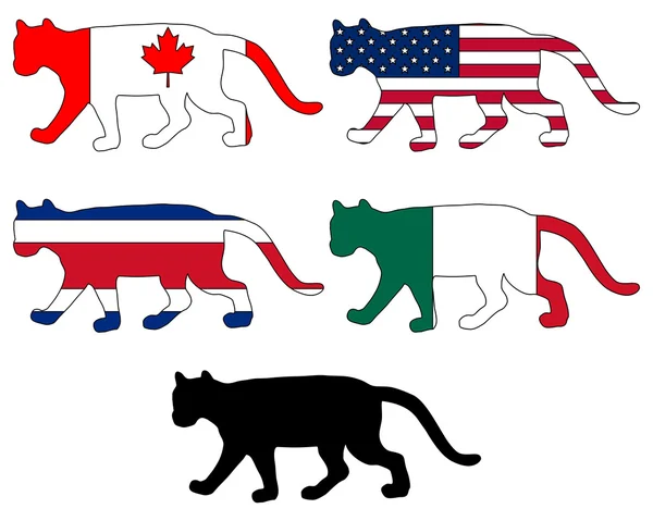 Drapeaux Cougar — Image vectorielle