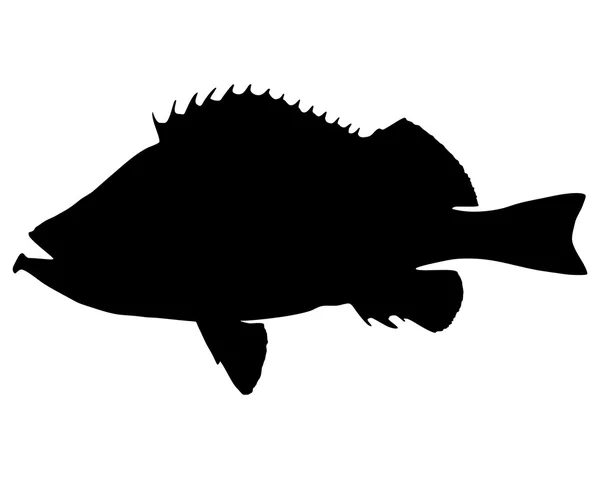 Rose fish Silhouette — Stock Vector