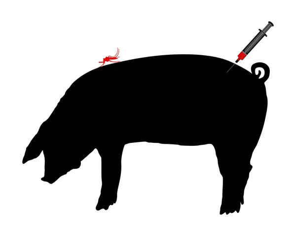 猪获取的吸浆虫叮咬疾病疫苗接种 — 图库矢量图片