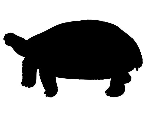 Die schwarze Silhouette einer Schildkröte — Stockvektor