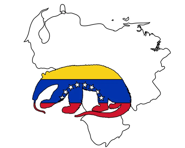 Venezuela oso hormiguero — Vector de stock