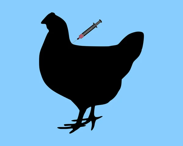 Kura dostaje szczepień przeciwko ptasiej grypie na niebieskim tle — Wektor stockowy