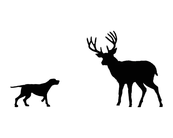 Deux animaux, dresseur et cerf se rencontrent face à face — Image vectorielle