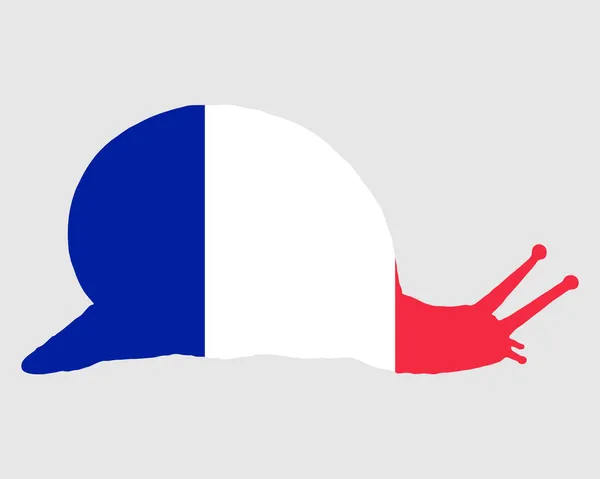 Francouzské slimák — Stockový vektor