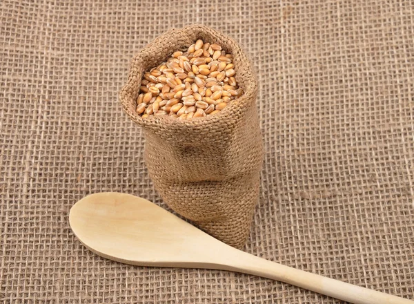 Cereal bag on jute — Stock Photo, Image