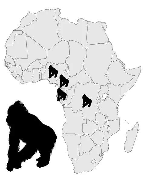 アフリカのゴリラの範囲 — ストックベクタ
