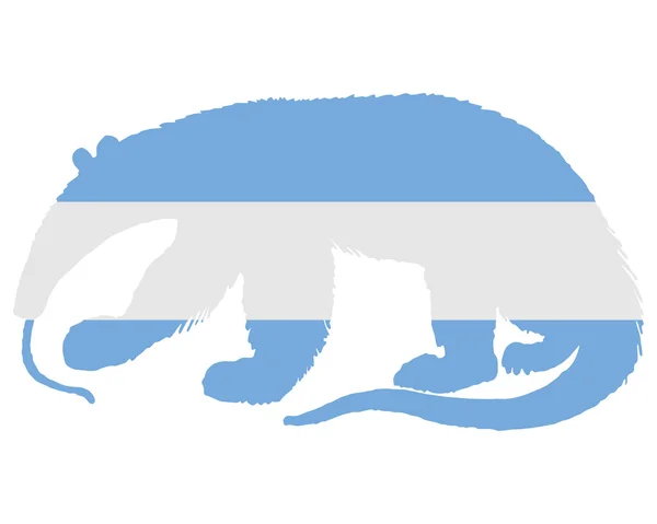 Anteater Argentina — Stock Vector