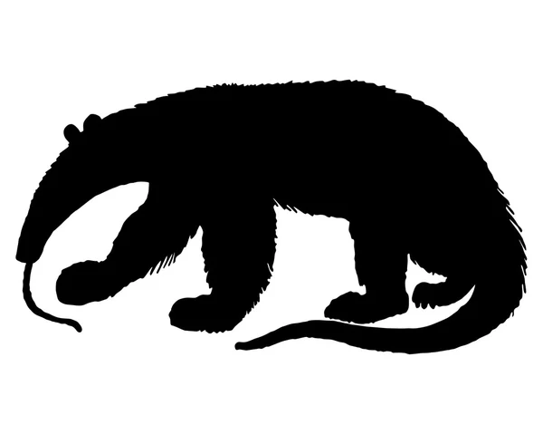 Silhueta de Anteater — Vetor de Stock