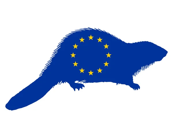 European beaver — Stock Vector