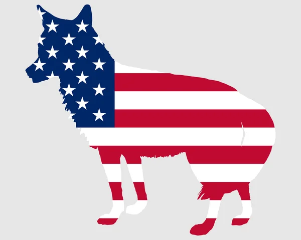 Kojot, Stany Zjednoczone Ameryki — Wektor stockowy