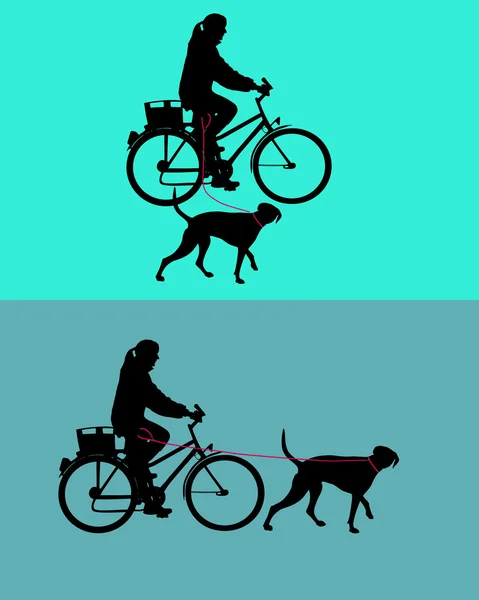 Mulheres na bicicleta com cães na trela — Vetor de Stock