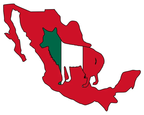 Κογιότ Μεξικό — Διανυσματικό Αρχείο