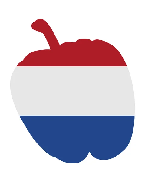Голландська перець — стоковий вектор