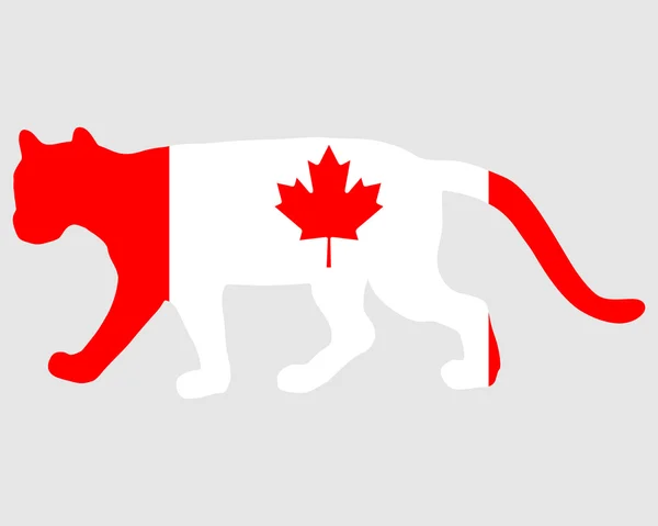 Cougar Canada — Image vectorielle