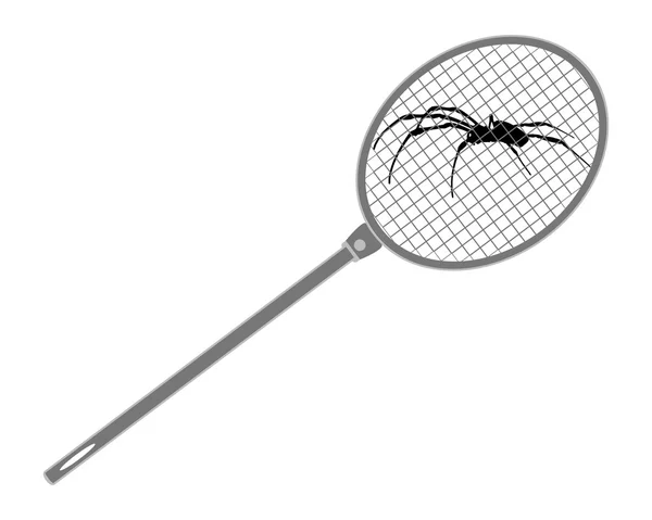 Egy fly swat fenti pók illusztrációja — Stock Vector