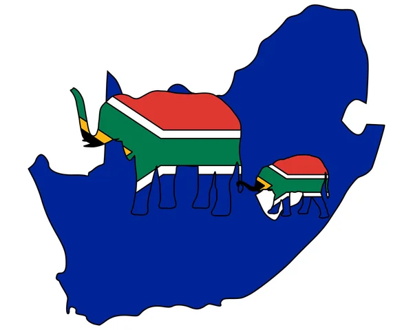 Elefantes sul-africanos — Vetor de Stock