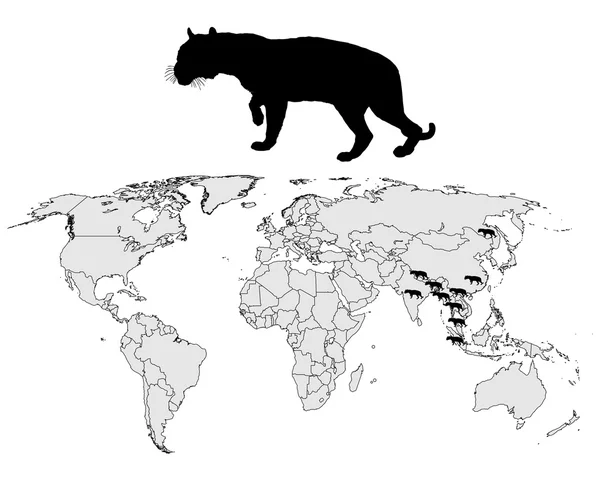 Tigeravstand – stockvektor