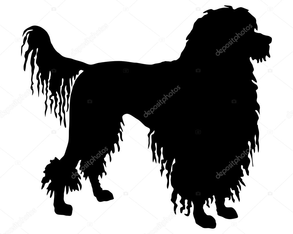 The black silhouette of a Portuguese Water Dog