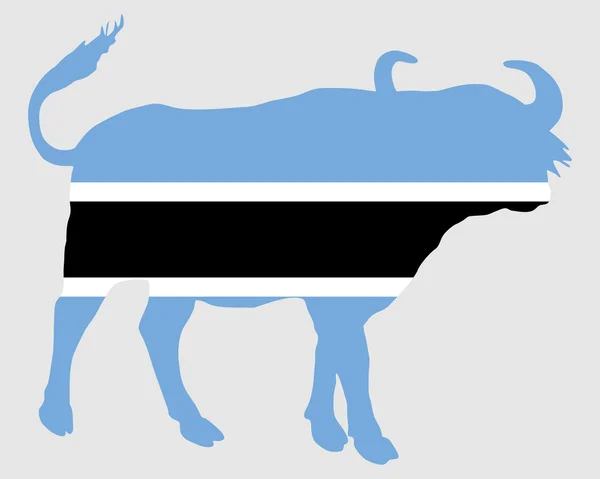 Botswana Bawół — Wektor stockowy