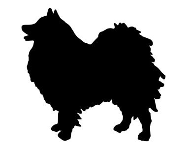 bir Alman spitz kara silüeti