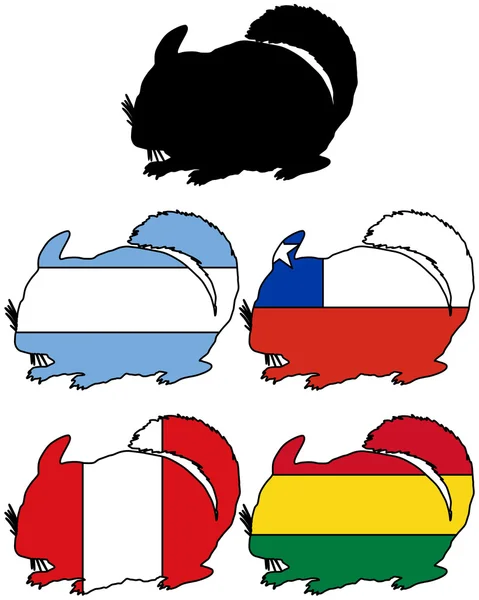 Flag Chinchilla - Stok Vektor