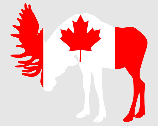 Mosse in flag of canada