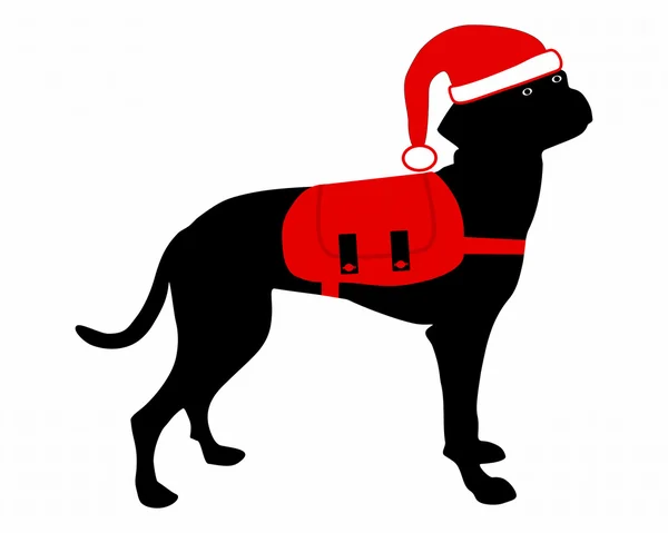 Hond met rugzak een kerstmuts — Stockvector