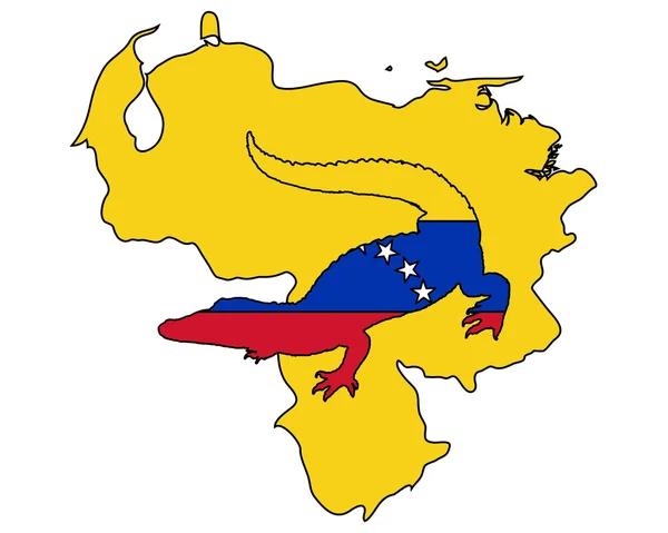 Krokodil venezuela — Stockvector