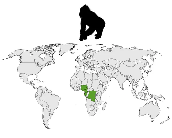 World Gorilla range — Stock Vector