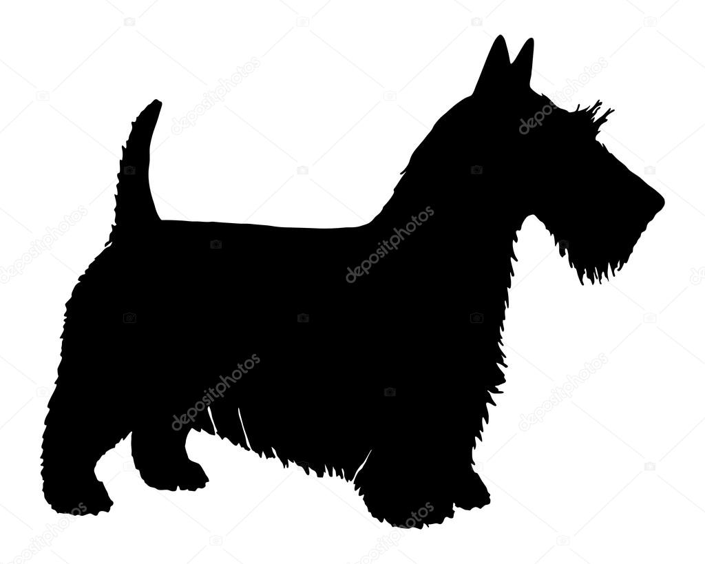 The black silhouette of a Scottish Terrier