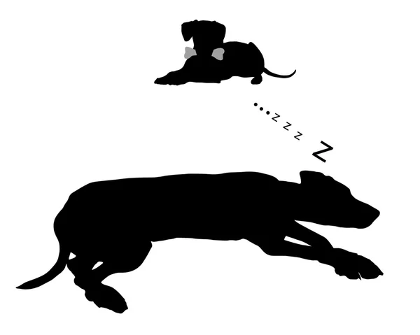 Dog dreams of feeding — Stock Vector