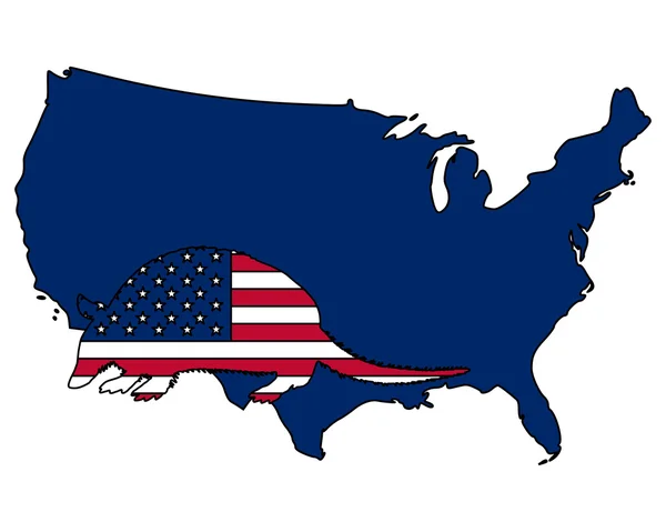 犰狳美国的美国 — 图库矢量图片