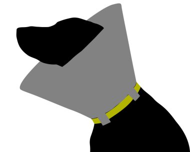 ruff ile köpek