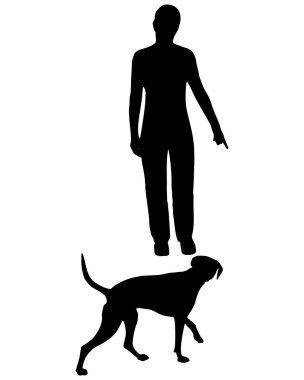 köpek eğitimi (itaat): komut: gel!