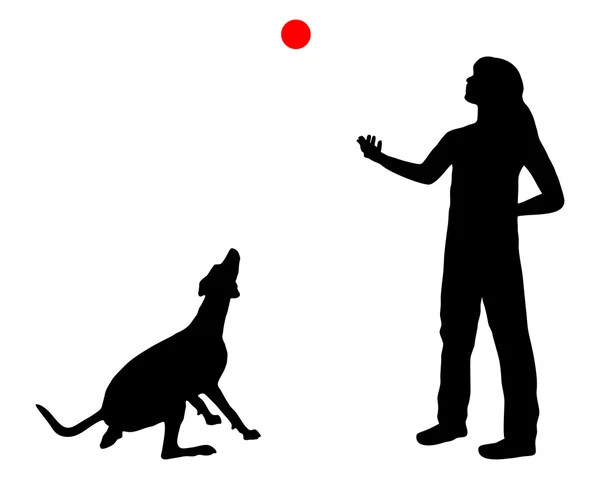 Entrenamiento de perros — Archivo Imágenes Vectoriales