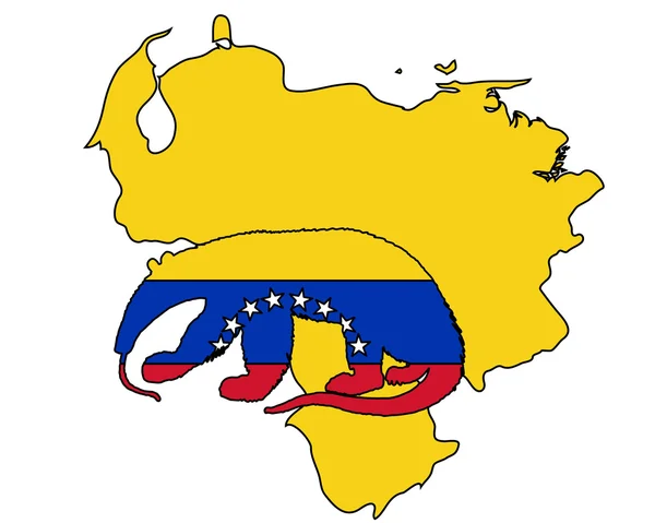 Venezuela oso hormiguero — Vector de stock