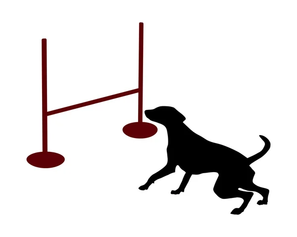 Dog agility: jump over hurdle — Stock Vector