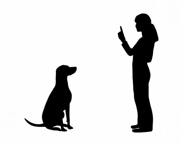 Opleiding (gehoorzaamheid) van de hond: opdracht: zitten — Stockvector