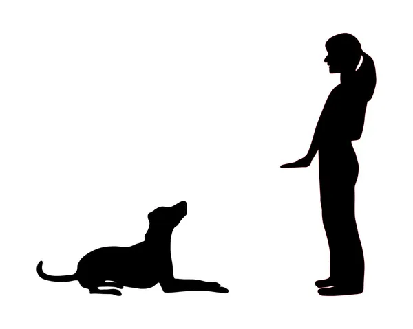 Treinamento de cão (obediência): comando sente-se —  Vetores de Stock