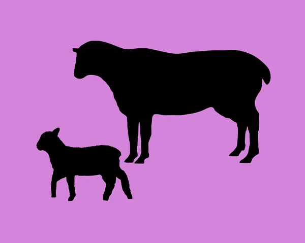 Die schwarzen Silhouetten eines Schafes und eines Lammes auf Flieder — Stockvektor