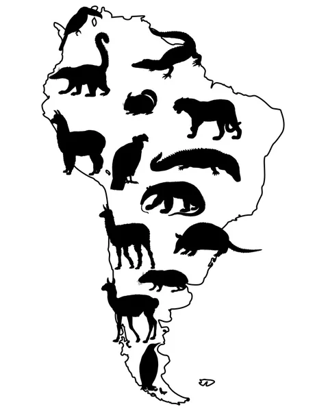 Animals South America — Stock Vector