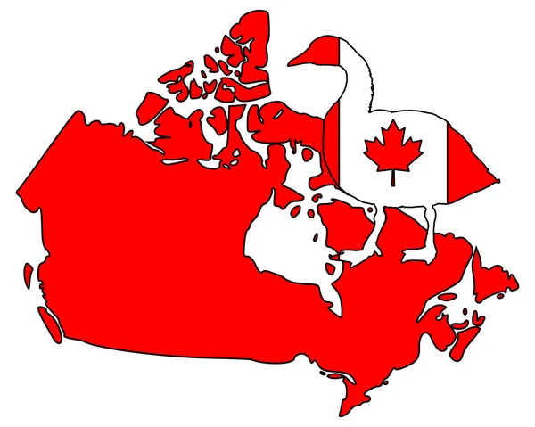 Ganso de Canadá — Archivo Imágenes Vectoriales