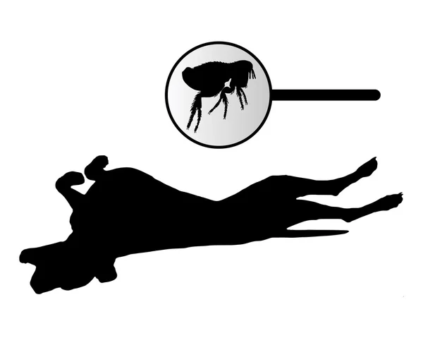 Dog is scratching its back because of a fleas bite — Stock Vector