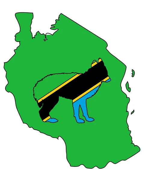 Chacal de Tanzania — Vector de stock