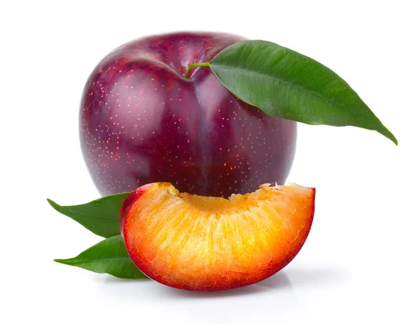 Rijp paarse pruim vruchten met groene bladeren geïsoleerde — Stockfoto