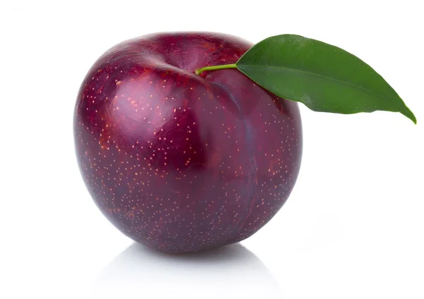 Ripe purple plum fruits with green leaves isolated — Stock Photo, Image